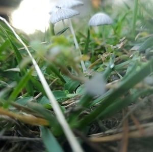 Meet your Posher, Dustin